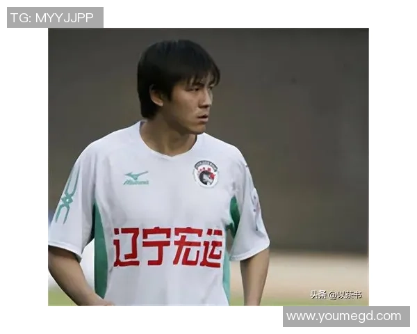 银川足球明星盘点及其成就分析，谁是你心目中的足球偶像